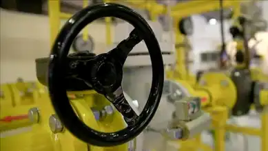 Nisan'da LPG İthalatı %17,5 Düştü