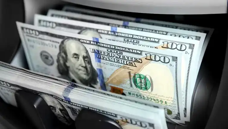 Hazine 2,5 Milyar Dolarlık Tahvil İhraç Etti