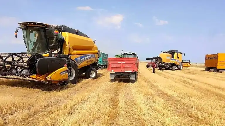 Çiftçilere 6 Milyar TL Destek Ödemesi